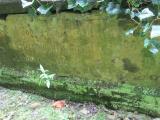image of grave number 666013